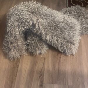 Stylish Templeton Taupe Over the Knee Boots